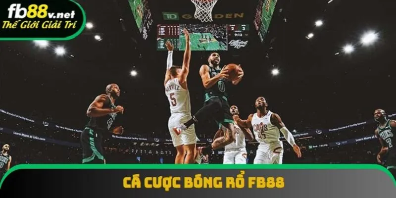 Cá cược bóng rổ FB88