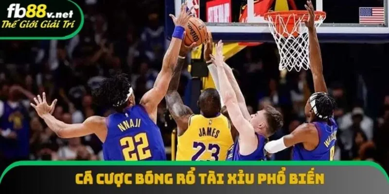 Tài xỉu là kiểu chơi cược bóng rổ phổ biến nhất