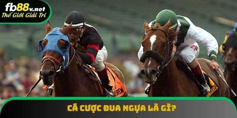 Cá Cược Đua Ngựa: Bộ Môn Hấp Dẫn Mà Có Thể Bạn Chưa Biết