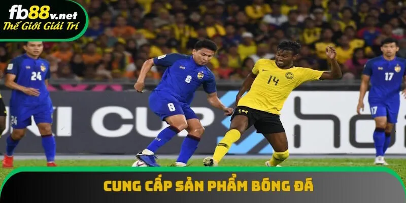 Cá cược thể thao FB88 cung cấp bóng đá