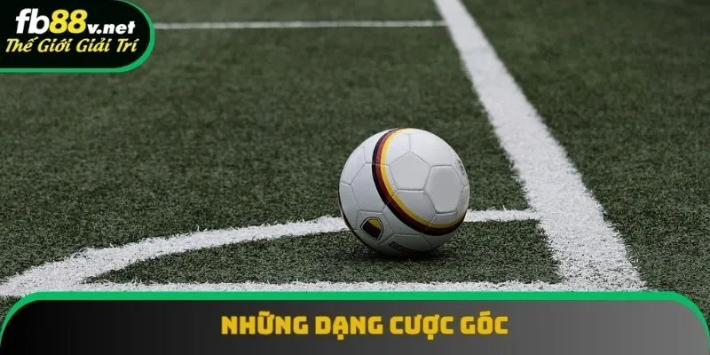 Những dạng cược góc được người chơi yêu thích