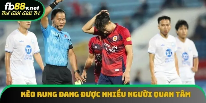 Kèo rung đang được nhiều người quan tâm