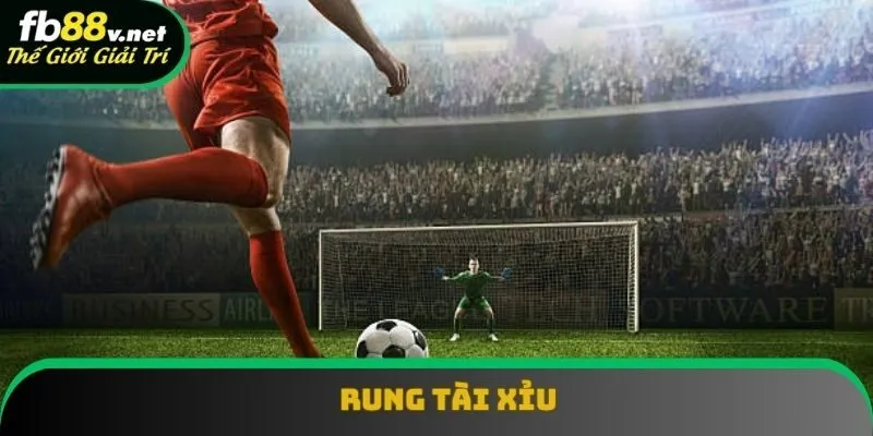 Rung tài xỉu mang đến cơ hội trả thưởng cao