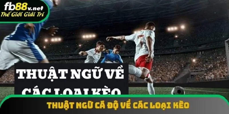 Thuật ngữ liên quan đến các loại kèo có sự phong phú