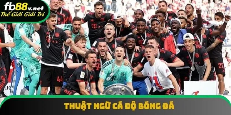 Thuật Ngữ Cá Độ Bóng Đá | Bước Cơ Bản Đến Chiến Thắng 2025