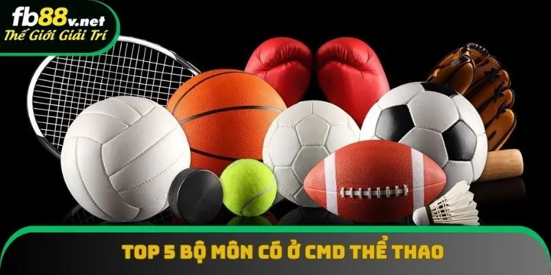 Top 5 bộ môn thể thao siêu nổi trội