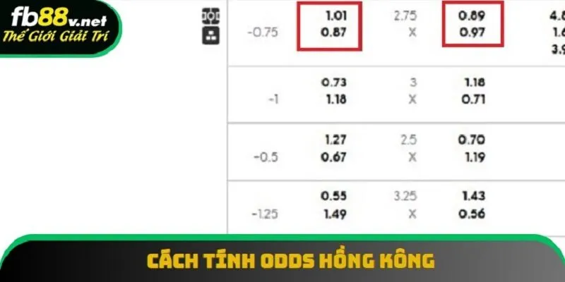 Cách tính HongKong Odds qua ví dụ
